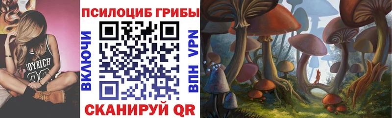 Галлюциногенные грибы MAGIC MUSHROOMS Козьмодемьянск